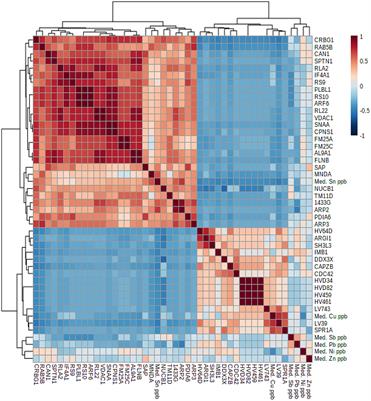 Integration of proteomic and metabolomic analyses: New insights for mapping informal workers exposed to potentially toxic elements